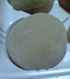 200703292245000.jpg