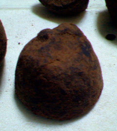 200704072257000.jpg