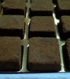 200707262229000.jpg