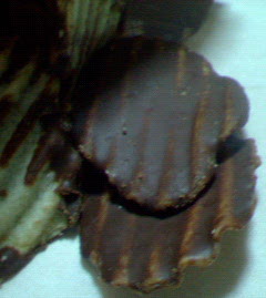 200711072250000.jpg