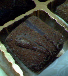 200711142217000.jpg