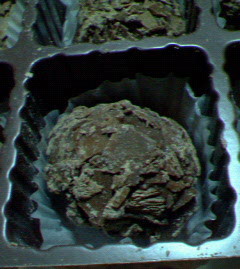 200802042159000.jpg