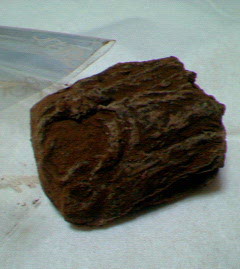 200802102338001.jpg
