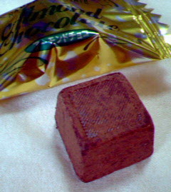 200802241708001.jpg