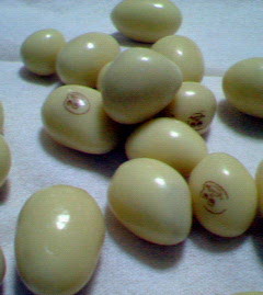 200802261232001.jpg