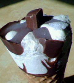 200802291352000.jpg