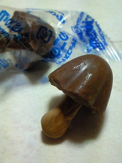 200808262201000.jpg