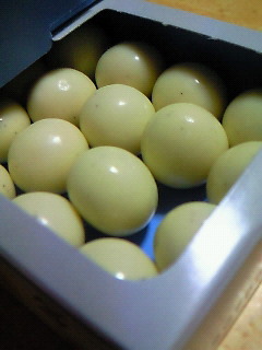 200809052122000.jpg