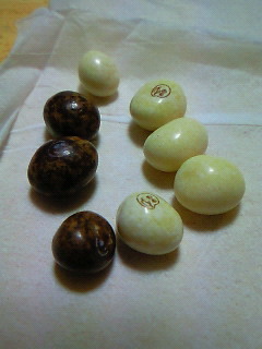 200810112124000.jpg