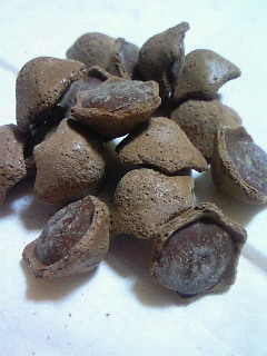 200901062220000.jpg